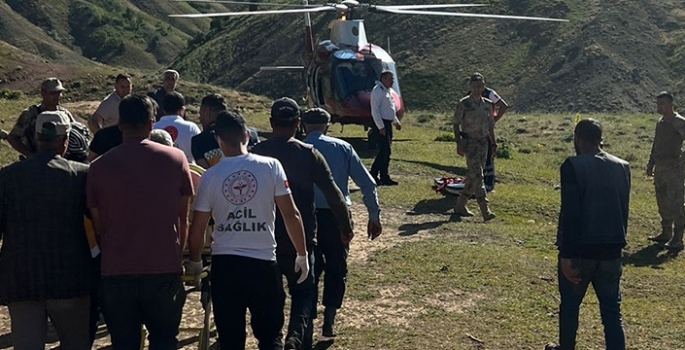 Bingöl'de yaylada böceğin başını ısırdığı kişi ambulans helikopterle hastaneye kaldırıldı