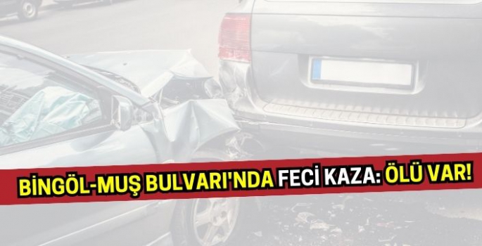 Bingöl-Muş Bulvarı'nda feci kaza: Ölü var!