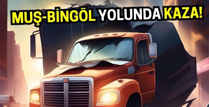 Bingöl-Muş kara yolunda kaza: KGYS direğini devirdi!