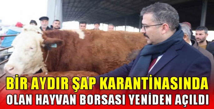 Bir aydır şap karantinasında olan hayvan borsası yeniden açıldı