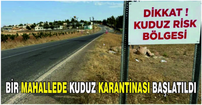 Bir mahallede kuduz karantinası başlatıldı