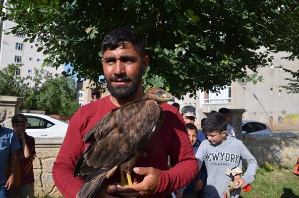 Bitkin halde bulunan kartal yavrusu koruma altına alındı