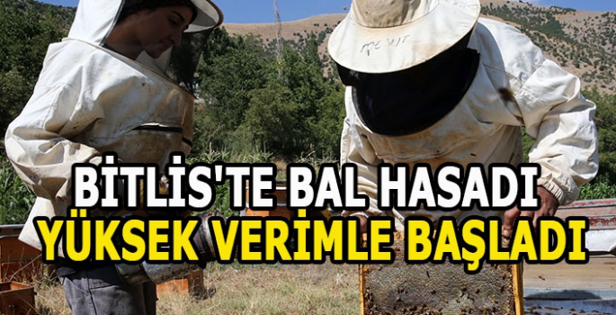 Bitlis'te bal hasadı yüksek verimle başladı