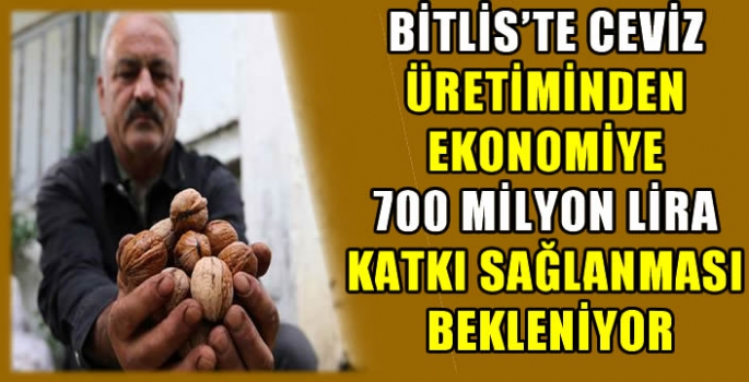 Bitlis'te ceviz üretiminden ekonomiye 700 milyon lira katkı sağlanması bekleniyor