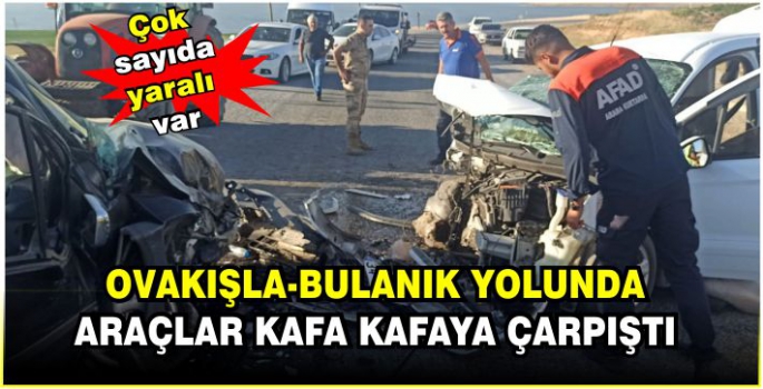 Ovakışla-Bulanık yolunda feci kaza: 8 yaralı!