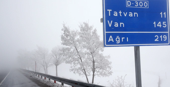 Bitlis'te sis ve soğuk hava etkili oldu