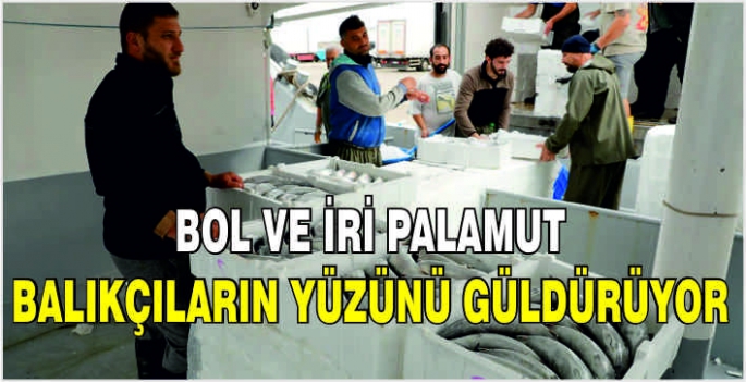 Bol ve iri palamut balıkçıların yüzünü güldürüyor