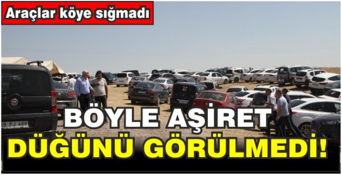 Böyle Aşiret Düğünü Görülmedi! Araçlar köye sığmadı