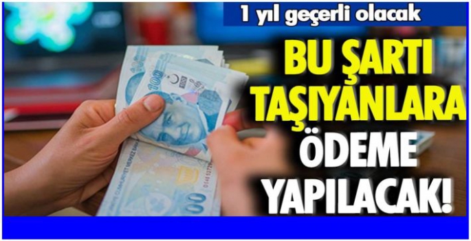 Bu şartı karşılayan vatandaşa 1 yıl ödeme yapılacak