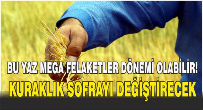 Bu yaz mega felaketler dönemi olabilir! Kuraklık sofrayı değiştirecek