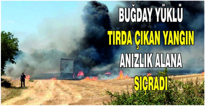 Buğday yüklü tırda çıkan yangın anızlık alana sıçradı