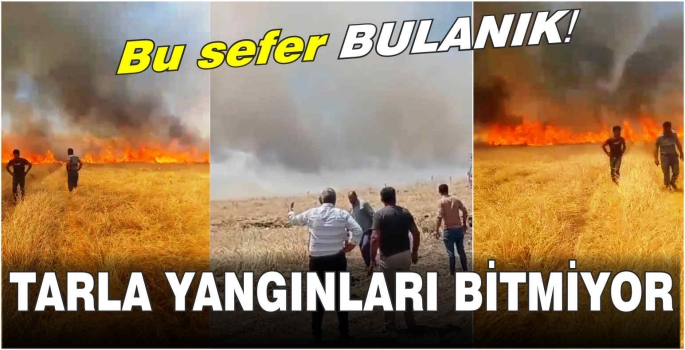 Bulanık'ta çıkan yangında ekili alanlar zarar gördü