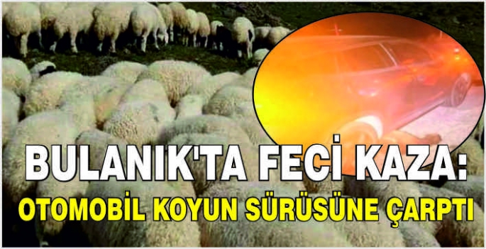 Bulanık’ta feci kaza: Otomobil koyun sürüsüne çarptı