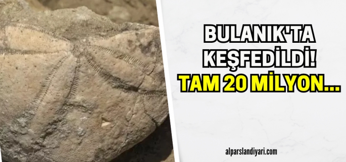 Bulanık'ta ilçenin kaderini değiştirecek sıra dışı bir keşif: Tam 20 milyon yıl...