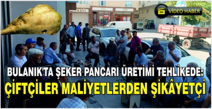 Bulanık'ta şeker pancarı üretimi tehlikede: Çiftçiler maliyetlerden şikâyetçi