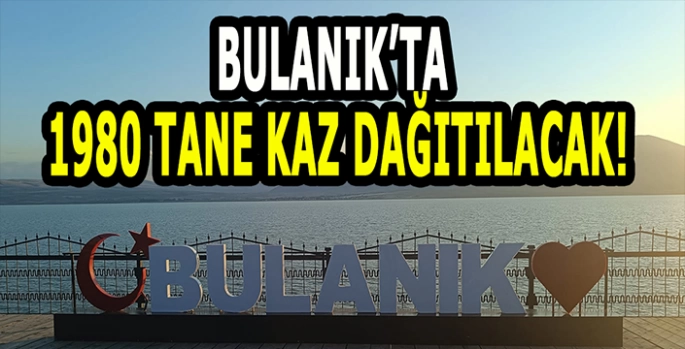 Bulanık’ta yaşayanlar dikkat! 1980 kaz dağıtılacak