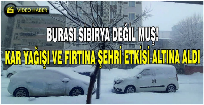 Burası Sibirya değil Muş! Kar yağışı ve fırtına şehri etkisi altına aldı