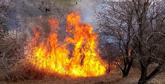 Çemişgezek'te otluk arazide çıkan yangın söndürüldü