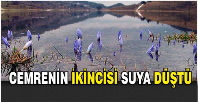 Cemrenin ikincisi suya düştü