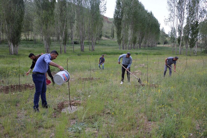 Çiftçilere dağıtılan meyve fidanları toprakla buluşturuluyor