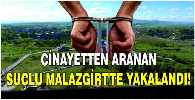 Cinayetten aranan suçlu Malazgirt’te yakalandı!