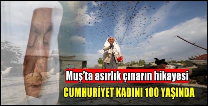 Cumhuriyet kadını 100 yaşında, Muş’ta asırlık çınarın hikayesi