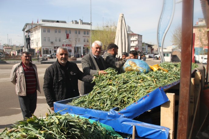 Dağdan Topladıkları Otları Satarak Geçimlerini Sağlıyorlar