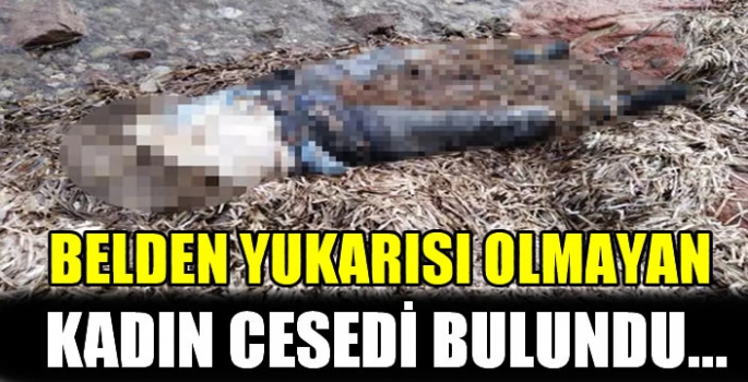 Dehşete düşüren görüntü! Belden yukarısı olmayan kadın cesedi bulundu…