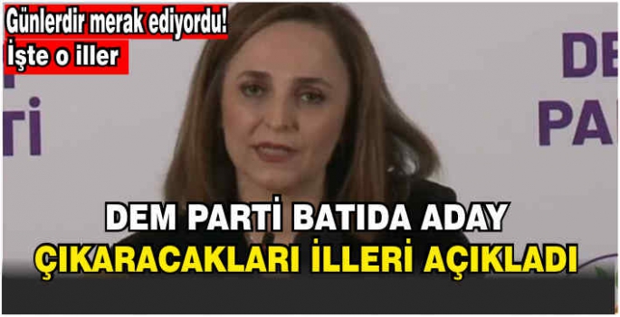 DEM Parti Batıda aday çıkaracakları illeri açıkladı! İşte o iller