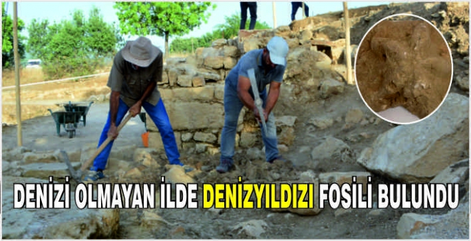 Denizi olmayan Diyarbakır denizyıldızı fosili bulundu