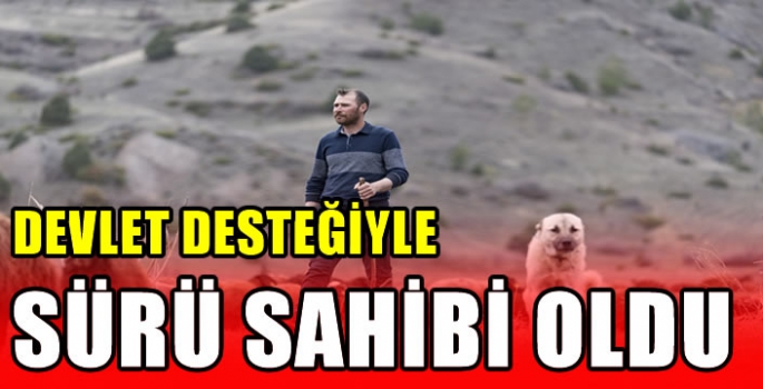  Devlet desteğiyle sürü sahibi oldu