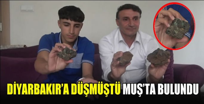 Diyarbakır’a düşmüştü Muş’ta bulundu.. 17 yaşındaki çoban 5 milyondan satışa çıkardı 