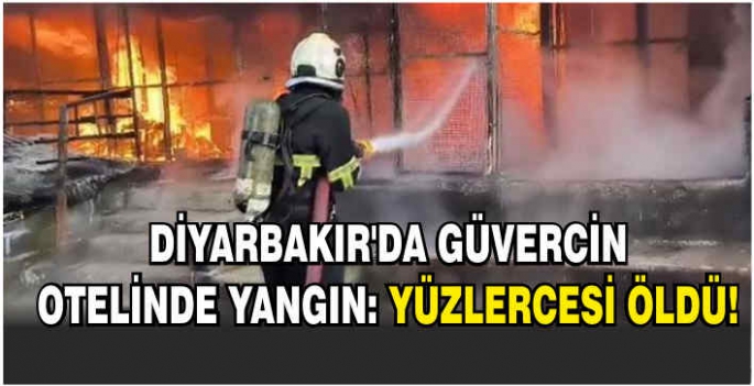 Diyarbakır'da güvercin otelinde yangın: Yüzlercesi öldü!