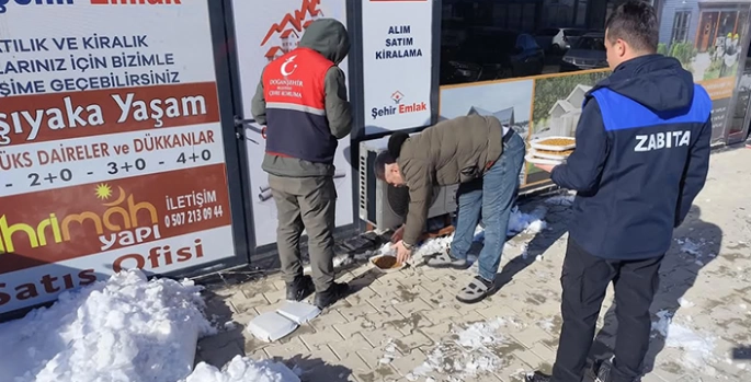 Doğanşehir'de sokak hayvanları için sokak ve caddelere yem bırakıldı