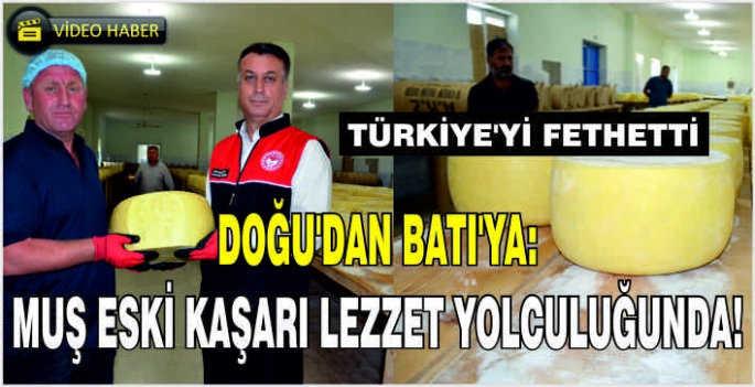 Doğu'dan Batı'ya: Muş eski kaşarı lezzet yolculuğunda! Türkiye'yi Fethetti