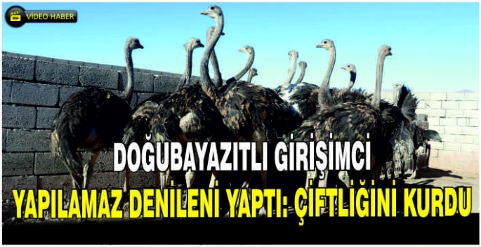 Doğubayazıtlı girişimci yapılamaz denileni yaptı: Çiftliğini kurdu