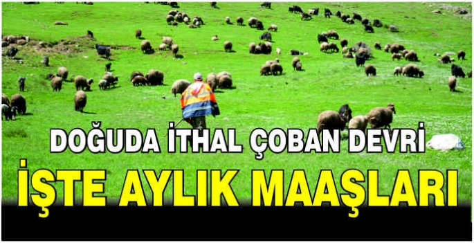 Doğuda ithal çoban devri: İşte aylık maaşları