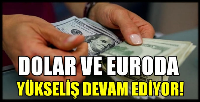 Dolar ve euroda yükseliş devam ediyor! 2 Kasım 2023 güncel döviz kurları