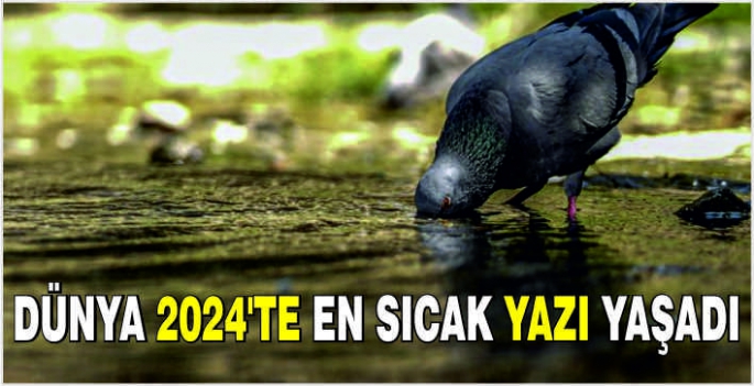 Dünya 2024'te en sıcak yazı yaşadı