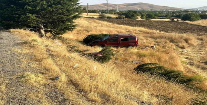 Elazığ'da Hafif Ticari Araç Şarampole Uçtu: 1 Çocuk Hayatını Kaybetti