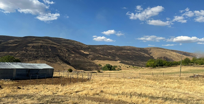 Elazığ'da otluk alanda çıkan yangına ekipler müdahale ediyor