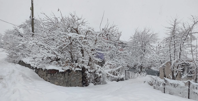 Elazığ ve Bingöl'de 92 yerleşim yerine ulaşım sağlanamıyor