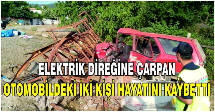 Elektrik direğine çarpan otomobildeki iki kişi hayatını kaybetti