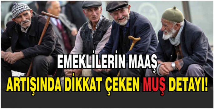 Emeklilerin maaş artışlarında dikkat çeken Muş detayı!