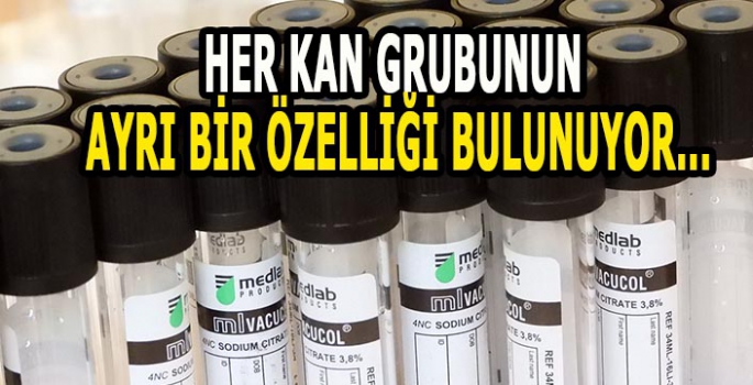 En akıllı kan grubu belli oldu: Her kan grubunun kendine ayrı özellikleri bulunuyor!