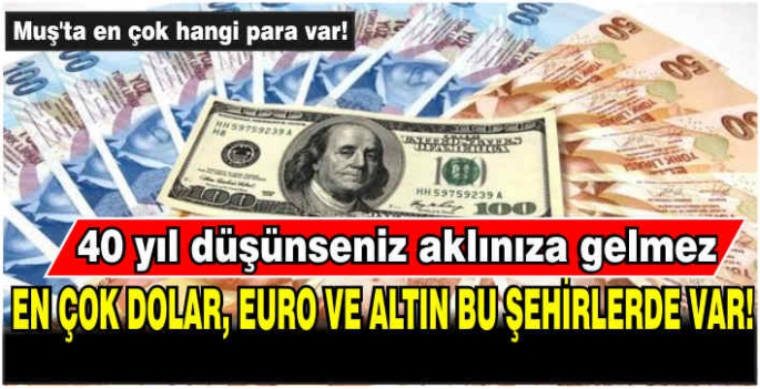 En çok dolar, euro ve altın bu şehirlerde var! 40 yıl düşünseniz aklınıza gelmez