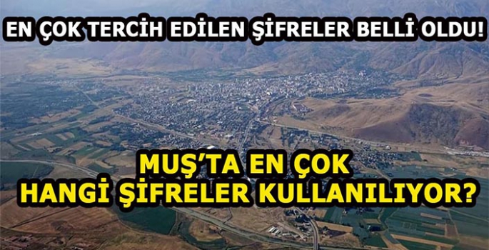 En çok kullanılan şifreler belli oldu: Muş’ta en çok hangi şifreler kullanılıyor?