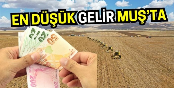 En düşük gelir listesinin başını Van Muş Bitlis ve Hakkari çekti!