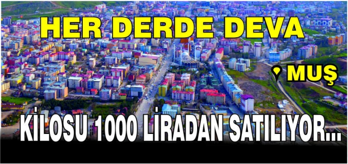 En fazla Muş ve çevre illerde tüketiliyor! Her derde deva: Kilosu 1000 liradan satılıyor…