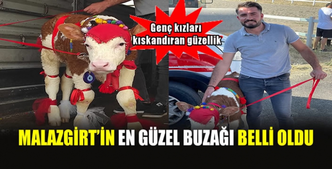 En güzel buzağı Malazgirt Zaferi’nin 952. yılı etkinliklerinde belli oldu